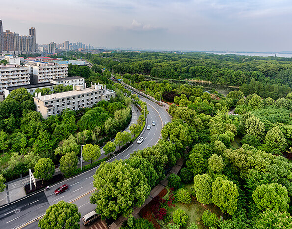 情形治理和情形；